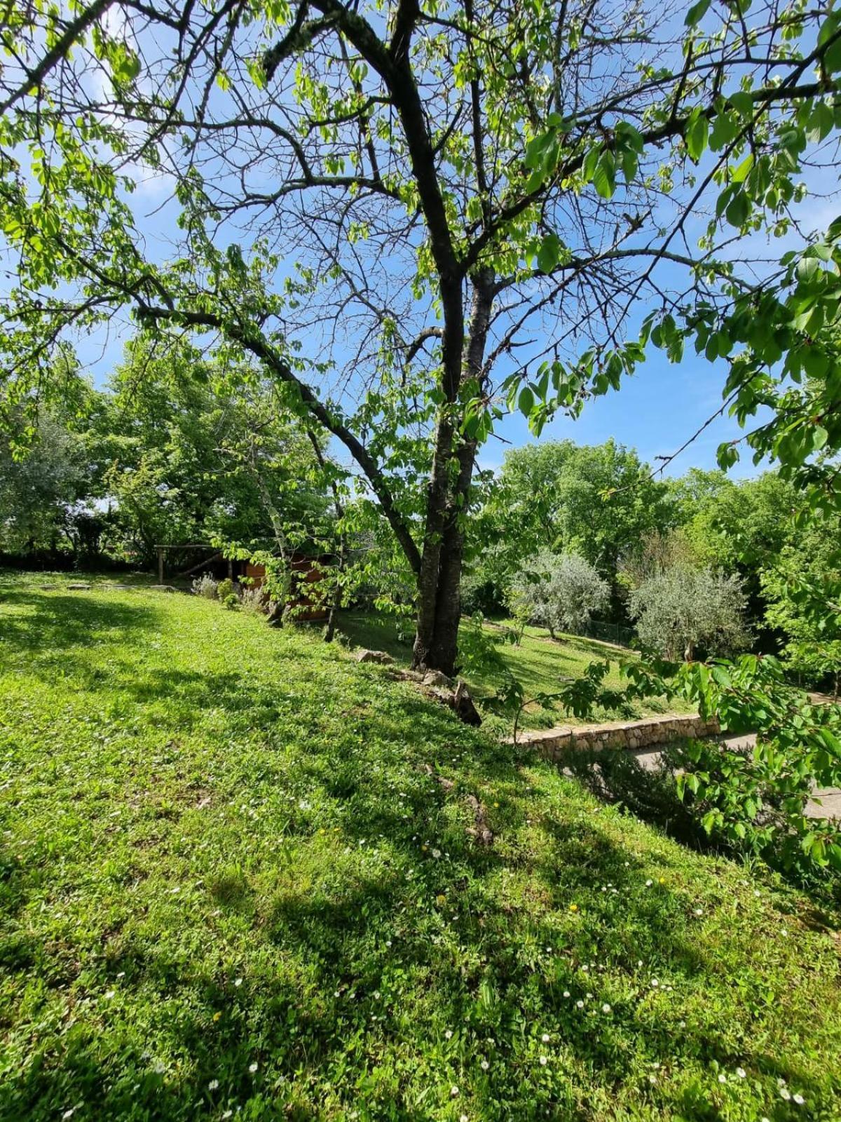 Dimora Nel Chianti Guest House San Sano Eksteriør bilde