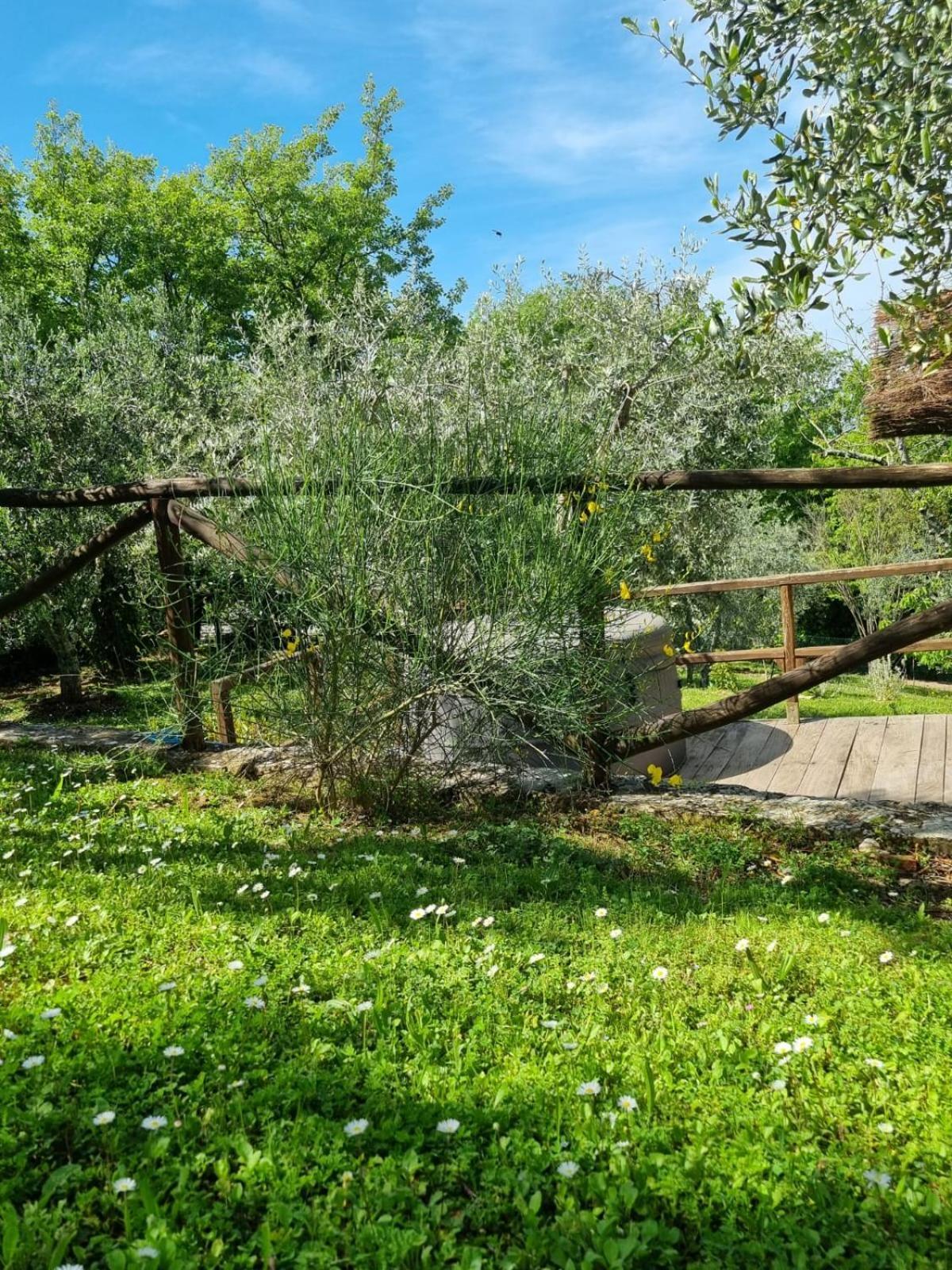 Dimora Nel Chianti Guest House San Sano Eksteriør bilde